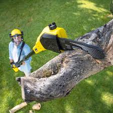 Best Commercial Tree Services  in Wellsburg, WV